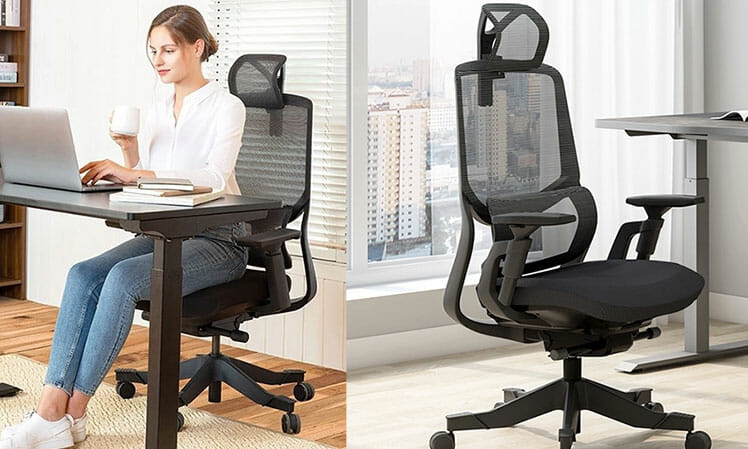 Review Ergonomic Office Chairs Under 300 Chairsfx